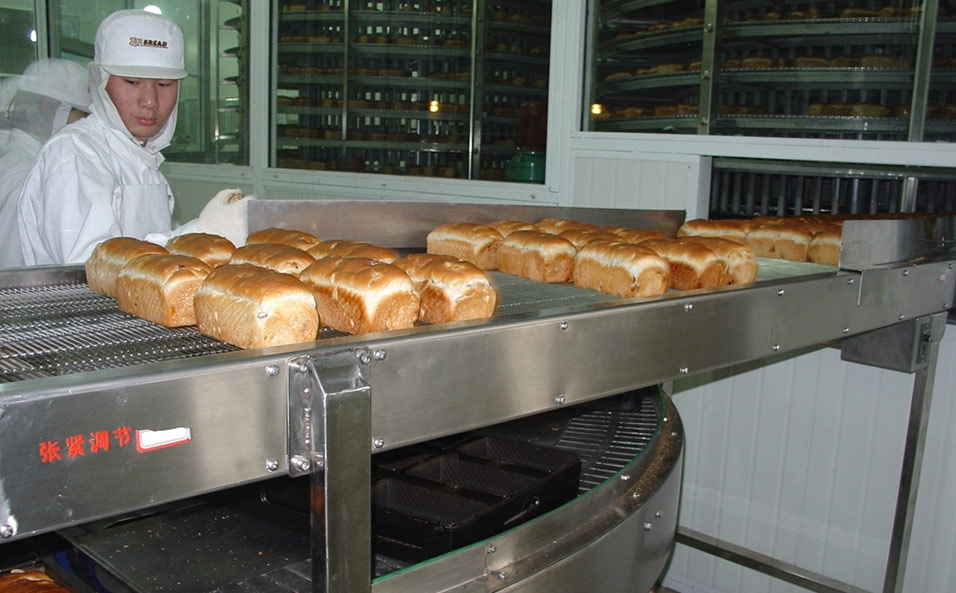 Food Confectionery Conveyor System