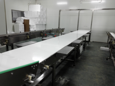 food conveyor