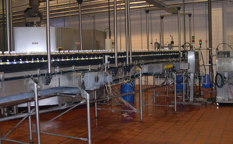 Bottle conveyor system