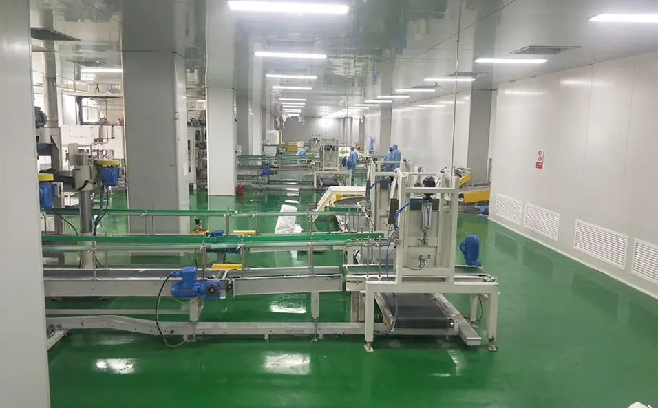 Conveyor Palletizing System