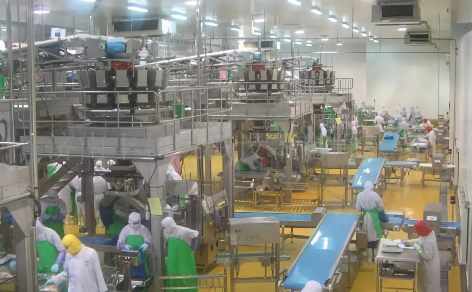 Food Conveyor Systems