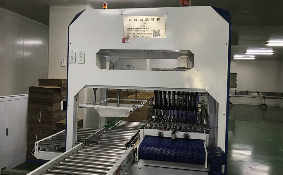 Fully automatic cartoning system