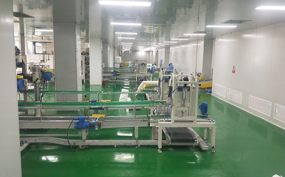 Conveyor Palletizing System