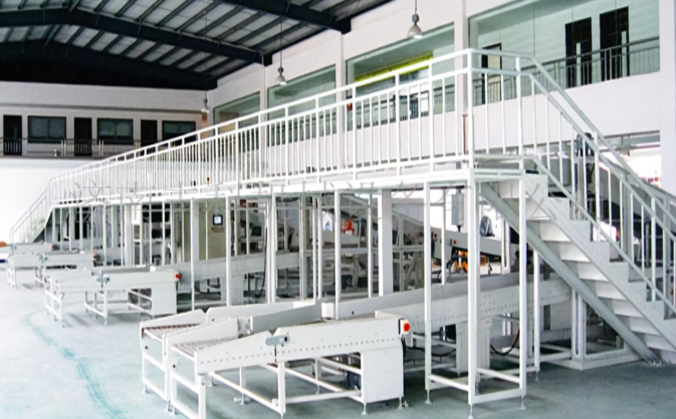 Customs conveyor systems
