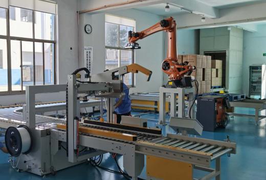 Palletizing and Packaging Line for Medical Materials