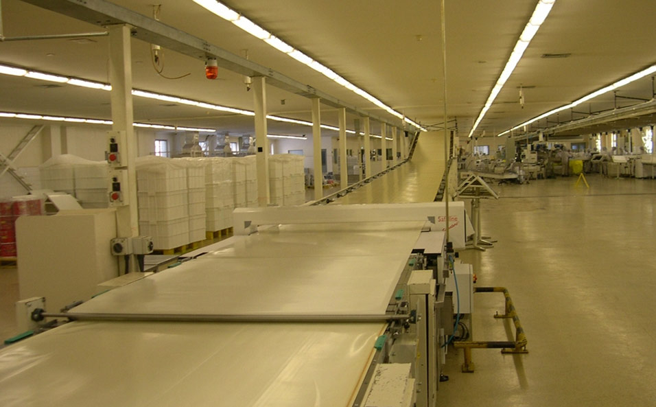 Biscuit Conveyor System